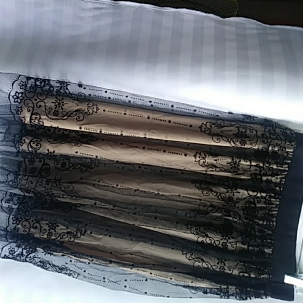 Black Lace Skirt with tan lining